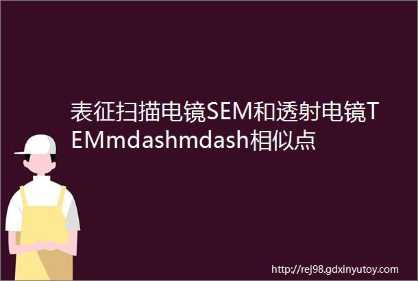 表征扫描电镜SEM和透射电镜TEMmdashmdash相似点和不同点