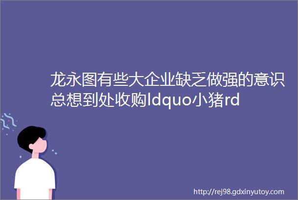 龙永图有些大企业缺乏做强的意识总想到处收购ldquo小猪rdquo凤凰封面