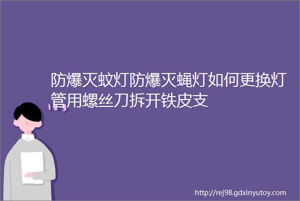 防爆灭蚊灯防爆灭蝇灯如何更换灯管用螺丝刀拆开铁皮支